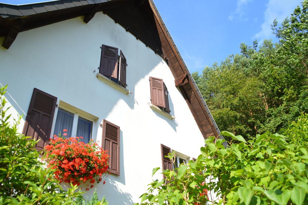 Le Gite De L'Ecureuil Sturzelbronn Exterior photo