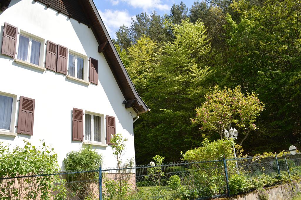 Le Gite De L'Ecureuil Sturzelbronn Exterior photo